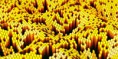/album/abstraktni-3d-grafika/a3d-abstaction-of-hexagonal-rods-jpg/